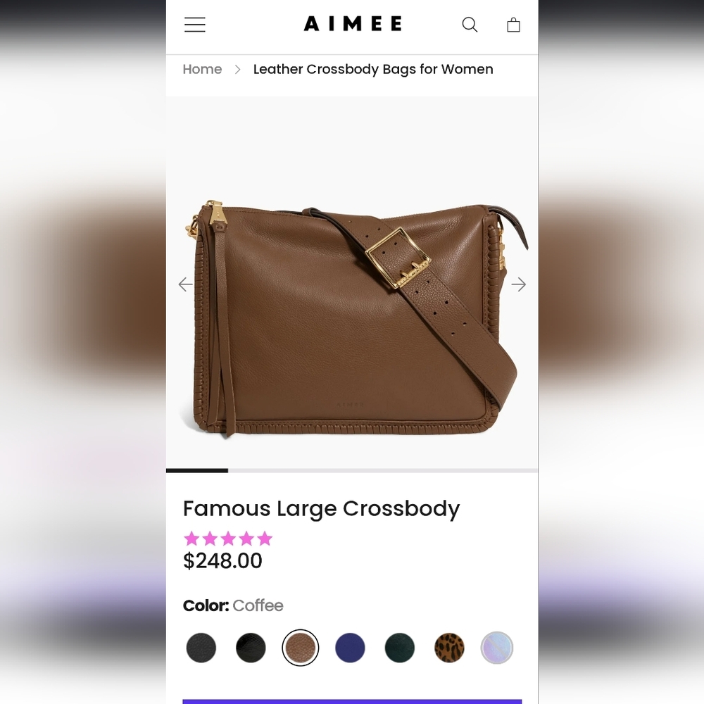 Aimee Kestenberg - The Famous Large Crossbody